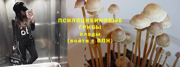 прущие грибы Сатка