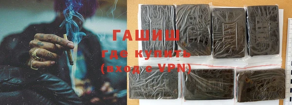 прущие грибы Сатка
